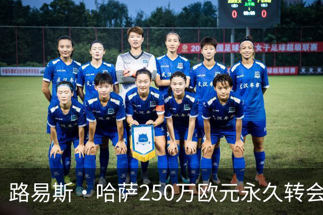 路易斯·哈萨250万欧元永久转会弗罗西诺内